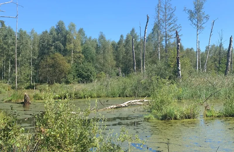 Naturschutz
