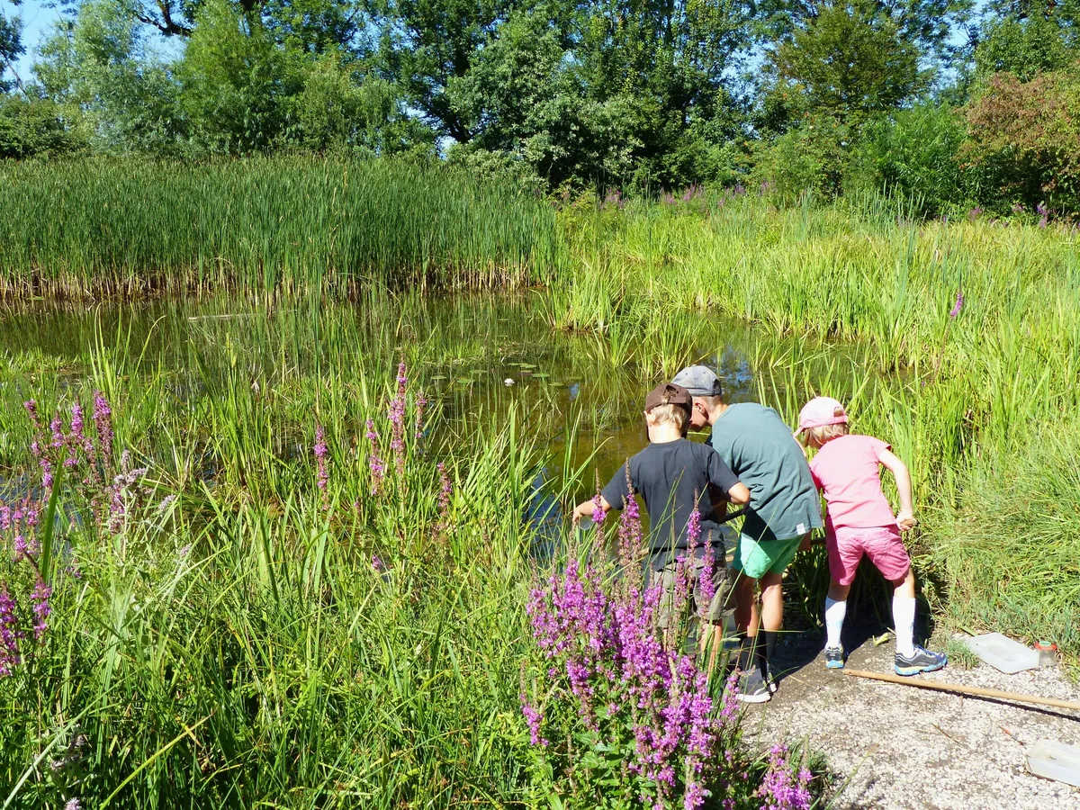 Naturlehrgebiet mit Wasserflächen und Biotopen